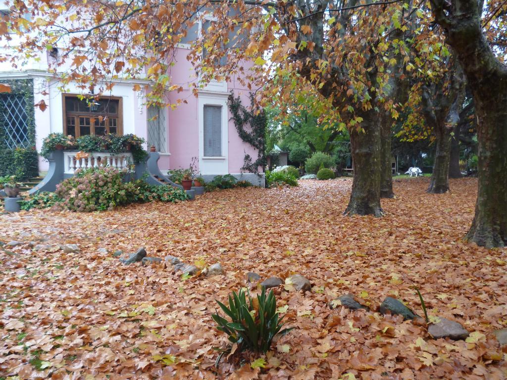 Hotel Alihuen Sierra de la Ventana Bagian luar foto